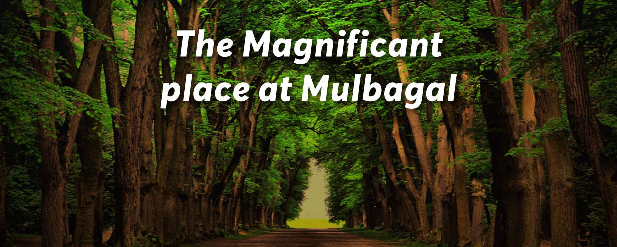 Mulubagal