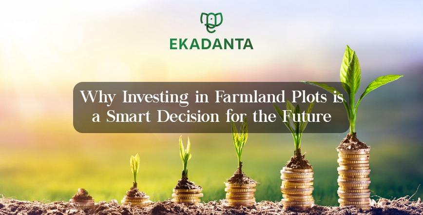 Farmland plots in bangalore