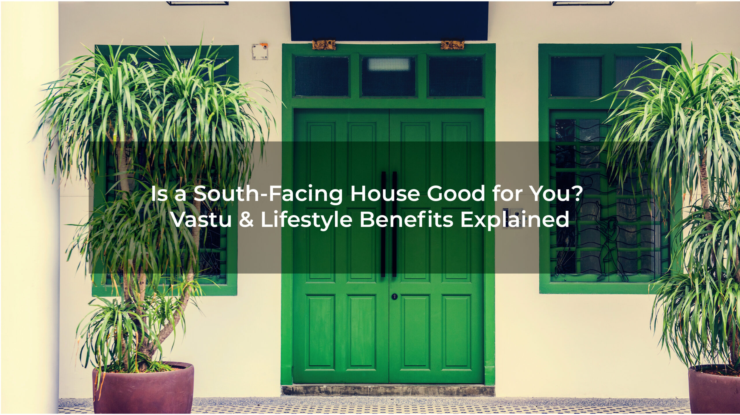 Is a south-facing house good for you