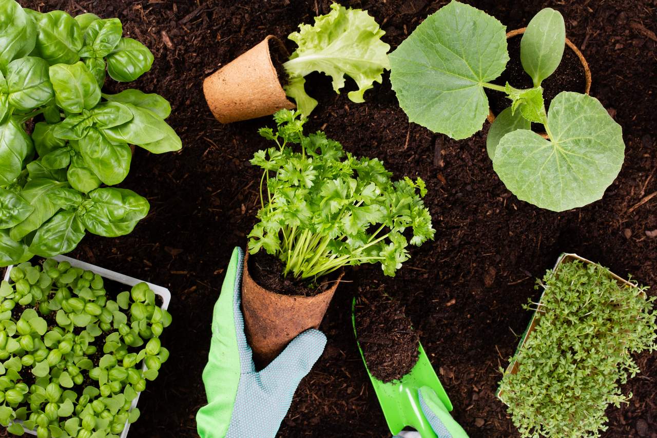 Gardening