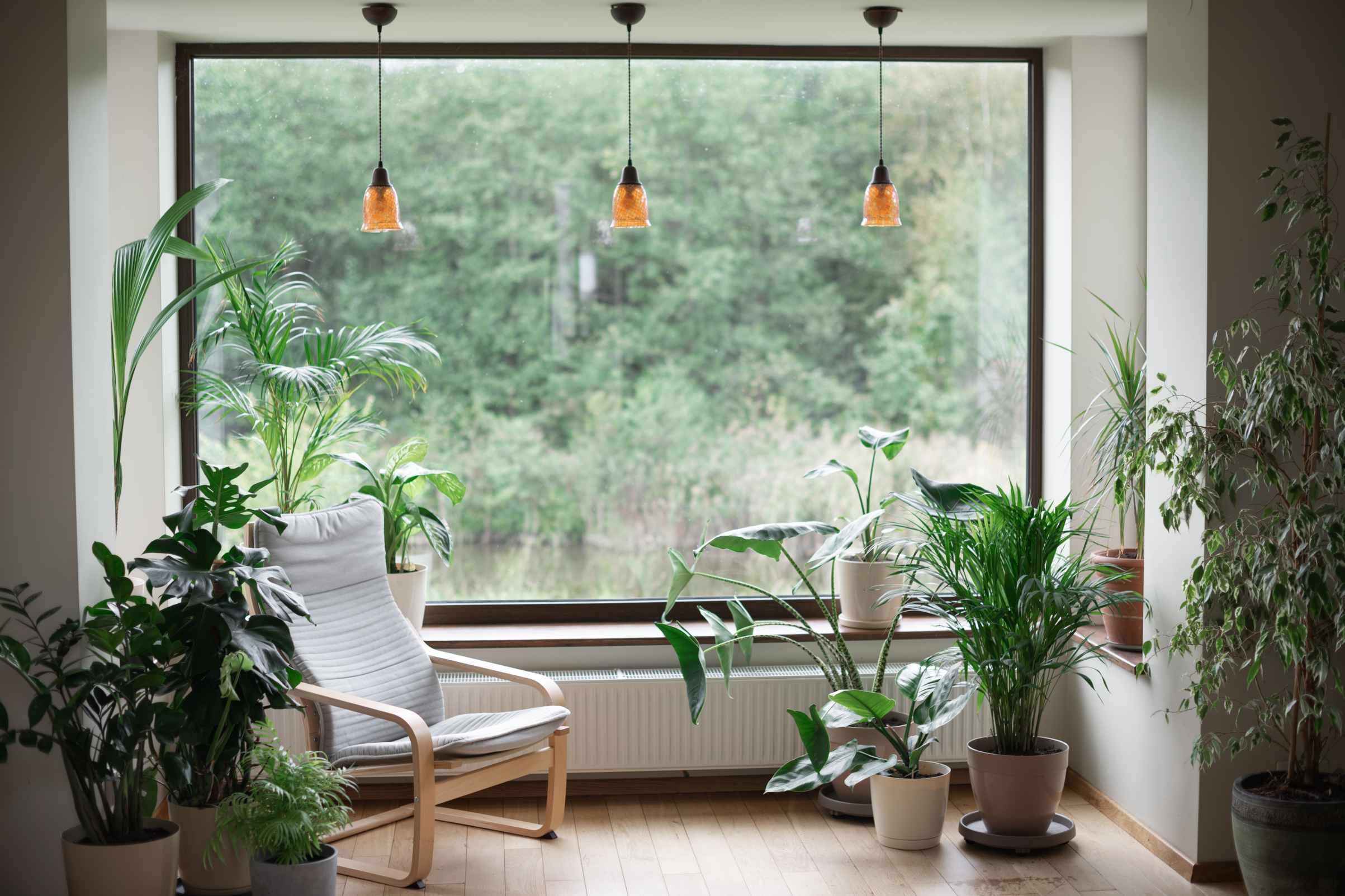 Daylighting and Natural Ventilation