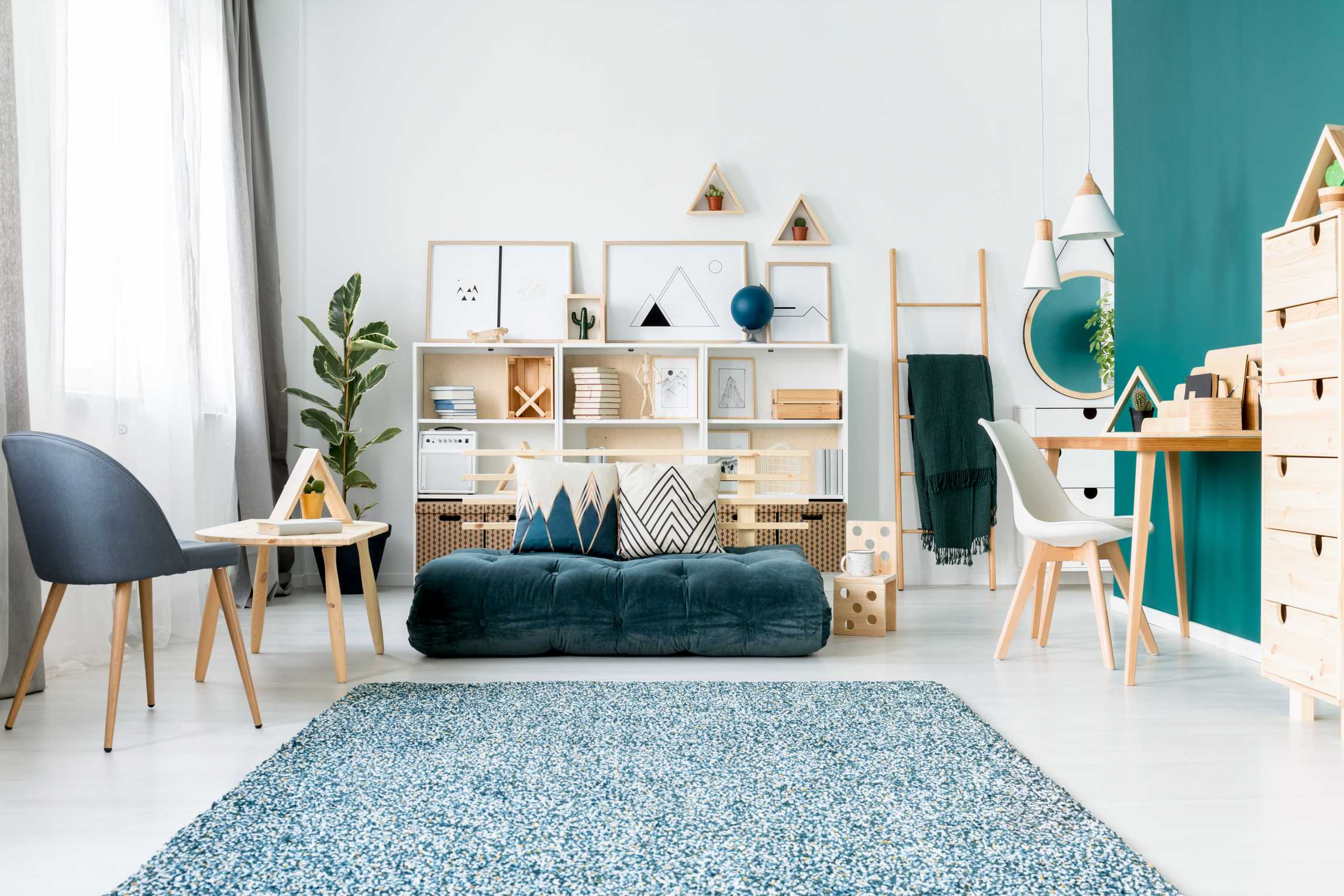 What is Carpet Area