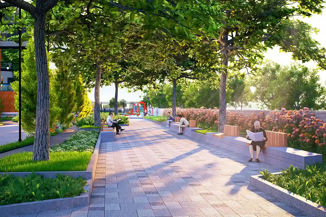 Peaceful Environment