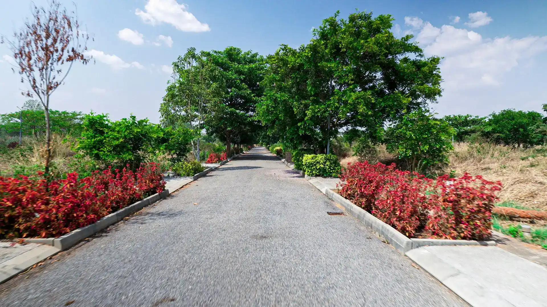 Strret view of EKA residential plots in Anekal, Bangalore